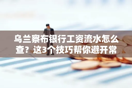 乌兰察布银行工资流水怎么查?这3个技巧帮你避开常见坑