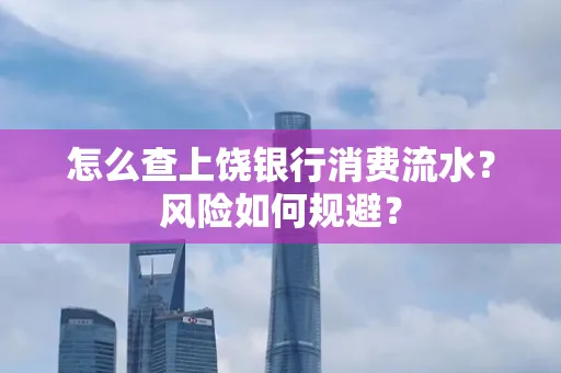 怎么查上饶银行消费流水?风险如何规避?