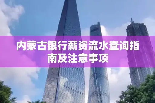 内蒙古银行薪资流水查询指南及注意事项