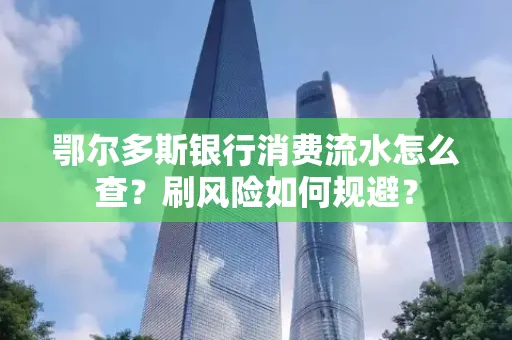 鄂尔多斯银行消费流水怎么查?刷风险如何规避? 鄂尔多斯银行消费流水怎么查?刷风险如何规避?
