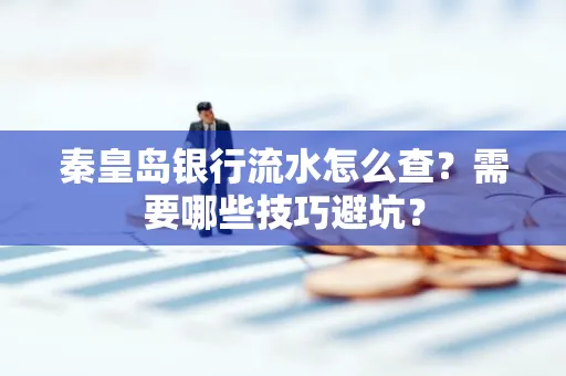 秦皇岛银行流水怎么查？需要哪些技巧避坑？