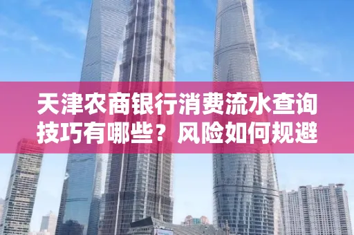 天津农商银行消费流水查询技巧有哪些？风险如何规避？