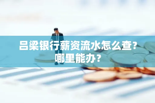 吕梁银行薪资流水怎么查？哪里能办？