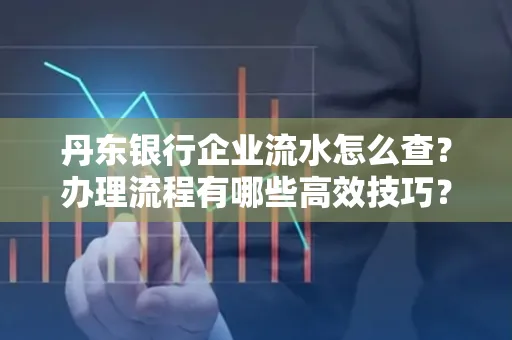 丹东银行企业流水怎么查？办理流程有哪些高效技巧？