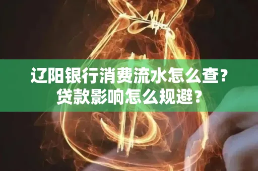 辽阳银行消费流水怎么查？贷款影响怎么规避？