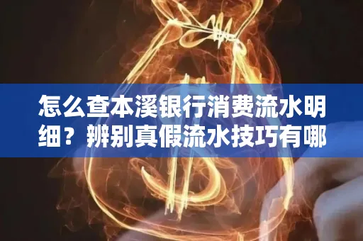 怎么查本溪银行消费流水明细?辨别真假流水技巧有哪些?