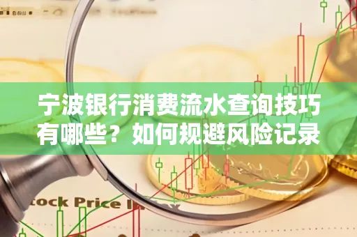 宁波银行消费流水查询技巧有哪些？如何规避风险记录？
