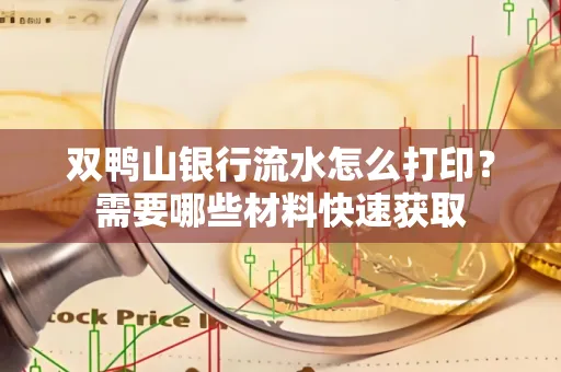 双鸭山银行流水怎么打印?需要哪些材料快速获取