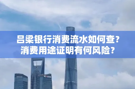 吕梁银行消费流水如何查？消费用途证明有何风险？
