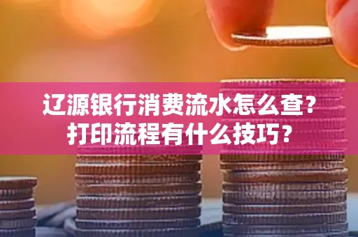 辽源银行消费流水怎么查?打印流程有什么技巧?