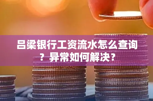 吕梁银行工资流水怎么查询?异常如何解决?