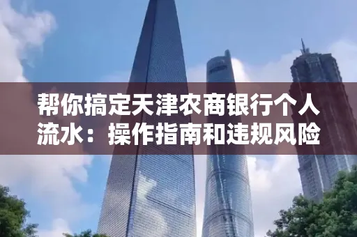 帮你搞定天津农商银行个人流水:操作指南和违规风险避坑攻略