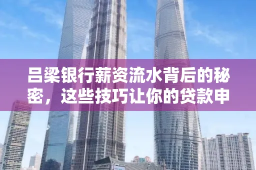 吕梁银行薪资流水背后的秘密,这些技巧让你的贷款申请快人一步