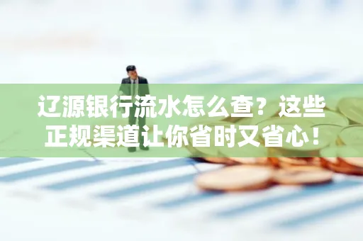 辽源银行流水怎么查?这些正规渠道让你省时又省心!