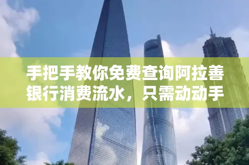 手把手教你免费查询阿拉善银行消费流水,只需动动手指就能完成