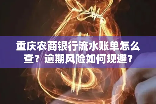 重庆农商银行流水账单怎么查?逾期风险如何规避?