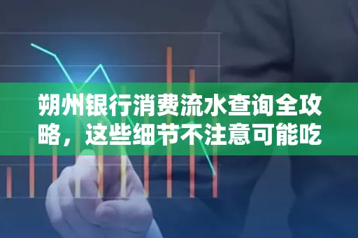 朔州银行消费流水查询全攻略,这些细节不注意可能吃大亏