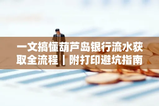 一文搞懂葫芦岛银行流水获取全流程|附打印避坑指南