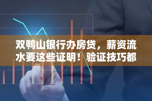 双鸭山银行办房贷,薪资流水要这些证明!验证技巧都在这里!