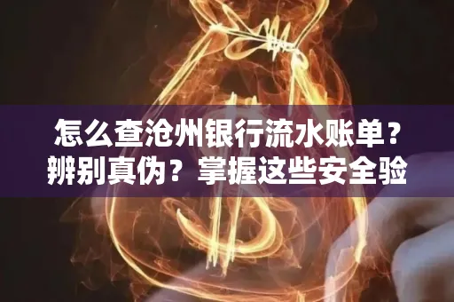 怎么查沧州银行流水账单？辨别真伪？掌握这些安全验证方法