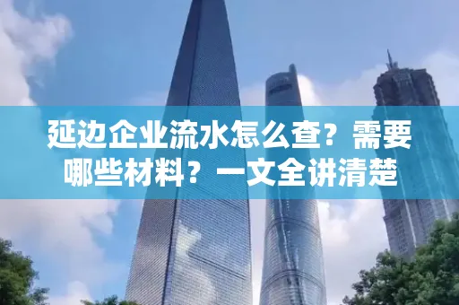 延边企业流水怎么查?需要哪些材料?一文全讲清楚