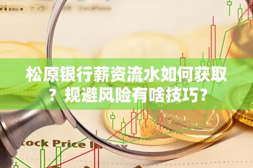 松原银行薪资流水如何获取?规避风险有啥技巧?