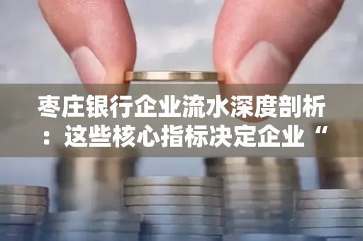 枣庄银行企业流水深度剖析:这些核心指标决定企业“钱袋子”健康度