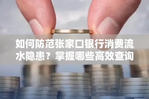 如何防范张家口银行消费流水隐患?掌握哪些高效查询技巧?