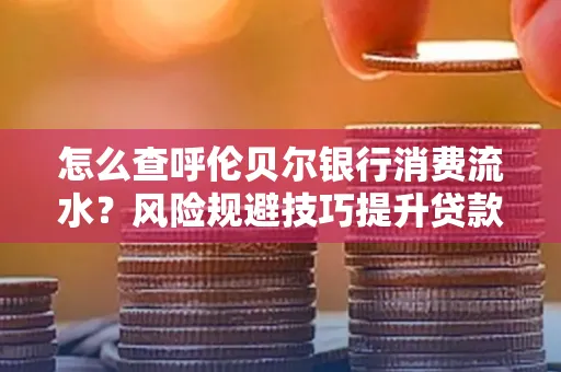 怎么查呼伦贝尔银行消费流水?风险规避技巧提升贷款率?