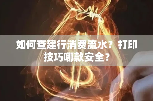 如何查建行消费流水?打印技巧哪款安全?